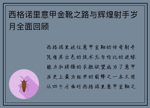 西格诺里意甲金靴之路与辉煌射手岁月全面回顾