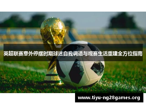 英超联赛意外停摆时期球迷自我调适与观赛生活重建全方位指南